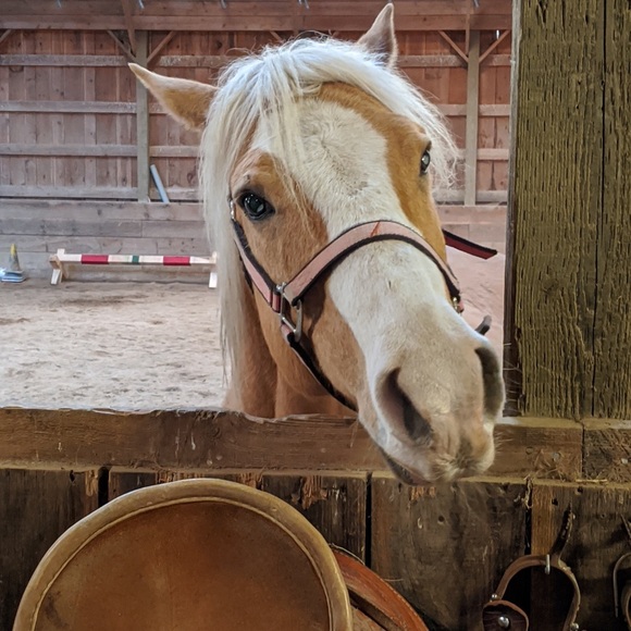 Meet your Posher, Gail - Picture 8 of 14